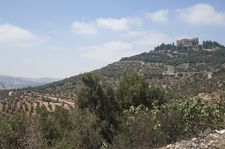 Ajloun Castle