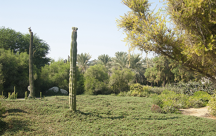 Dubai Creekside Park