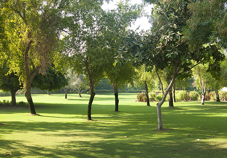 Dubai Creekside Park