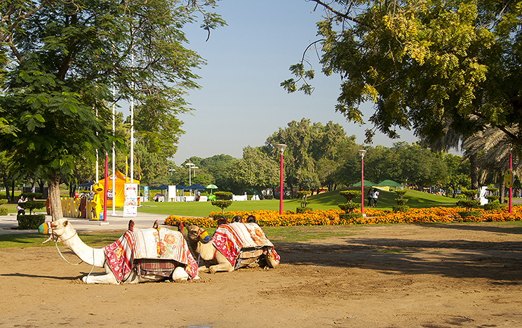 Dubai Creekside Park