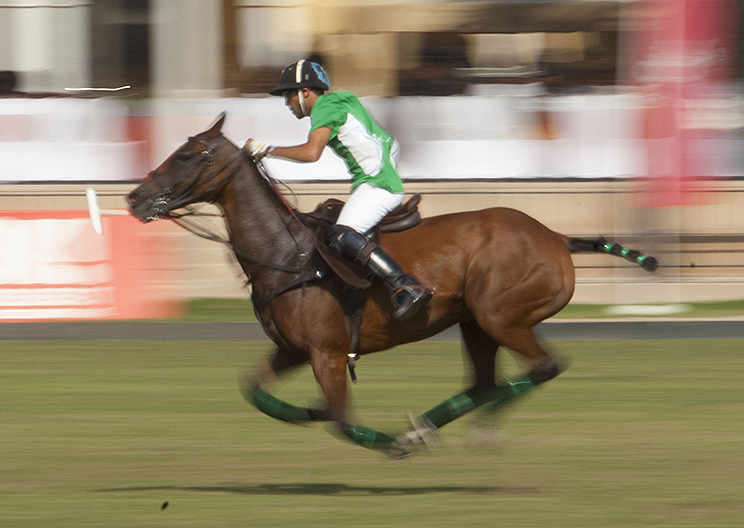 Polo Pony at speed