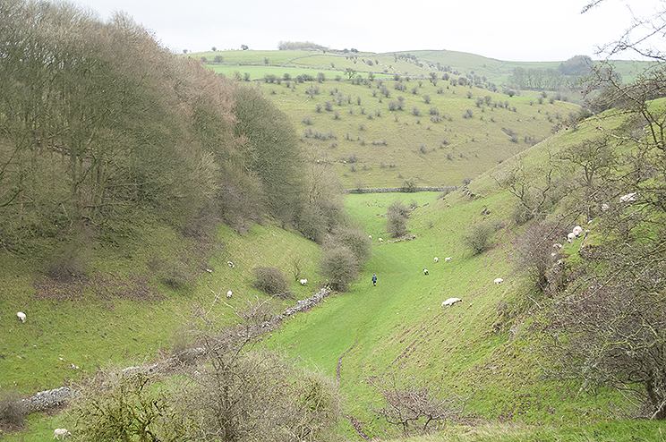 Derbyshire