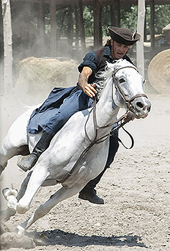 Hungarian Horseman