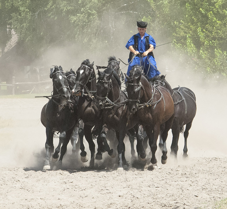 Hungarian Horseman