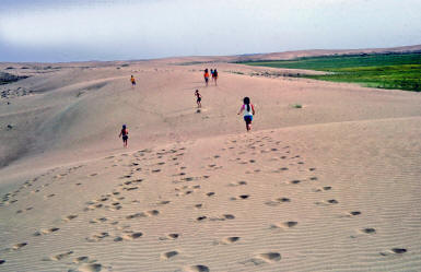 Iraq%20Sand%20%20Dunes%201974.jpg