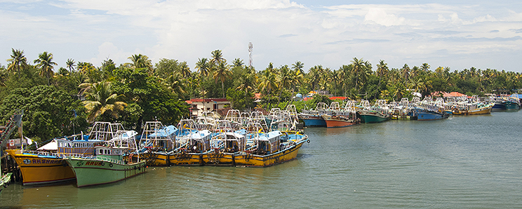 Kerala River boats