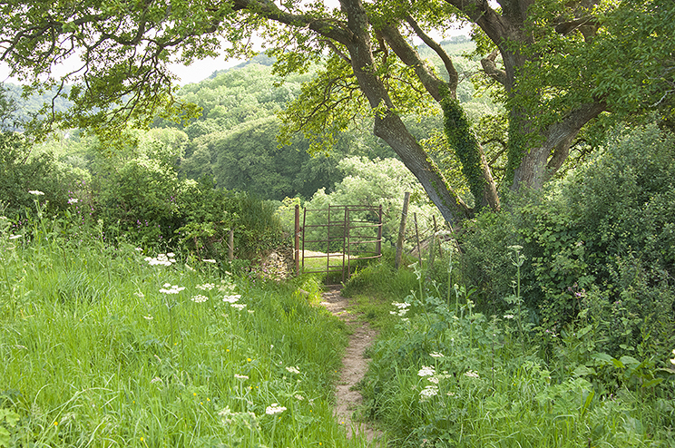 Public footpath St. Clement