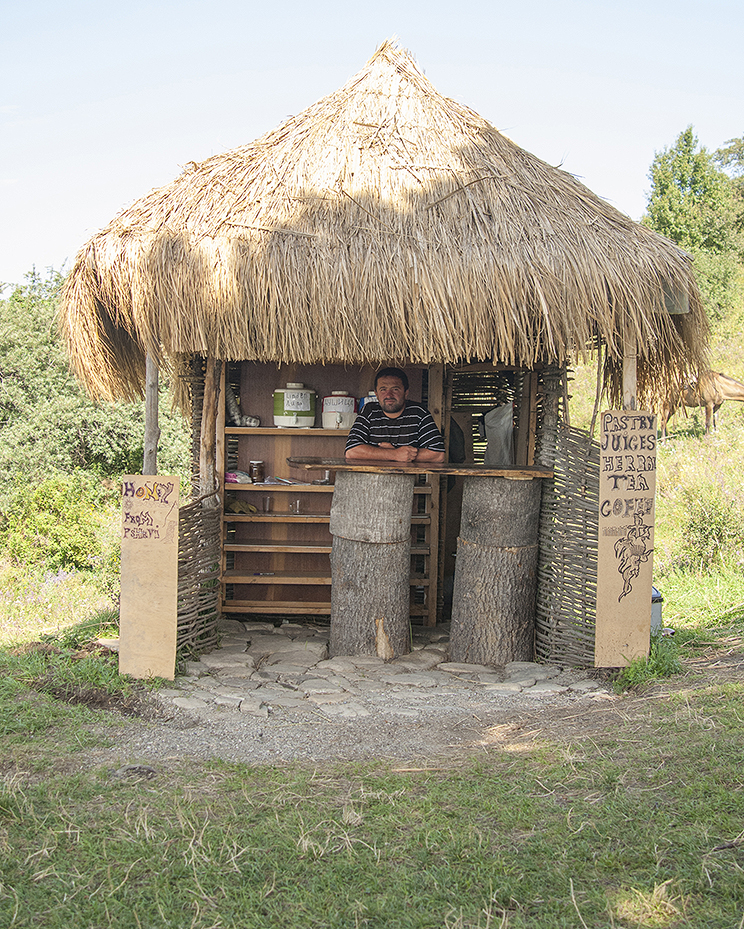 Roadside Cafe, Georgia