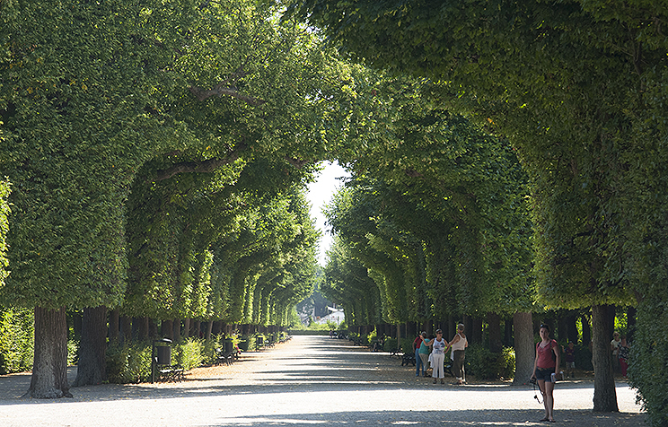 Schönbrunn Palace, Vienna